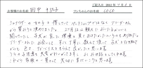 シェットランドシープドッグお客様の声