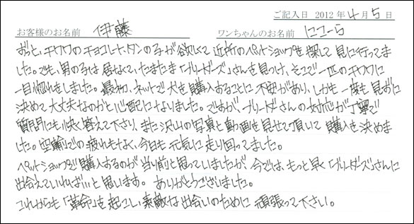 シェットランドシープドッグお客様の声