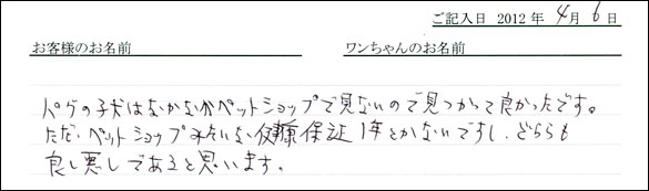 シェットランドシープドッグお客様の声