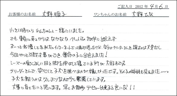 シェットランドシープドッグお客様の声
