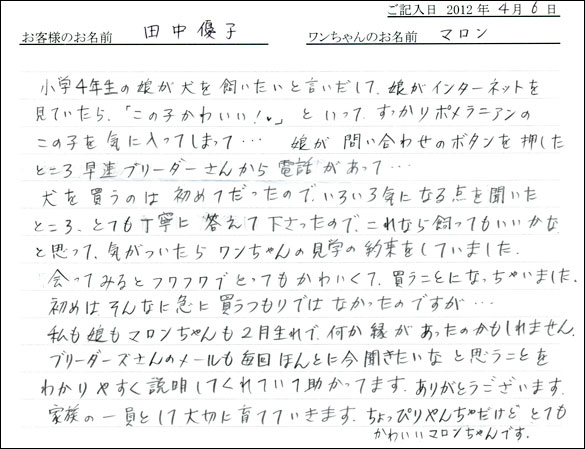 シェットランドシープドッグお客様の声
