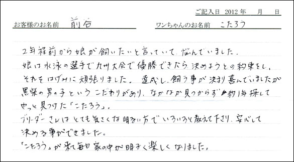 シェットランドシープドッグお客様の声