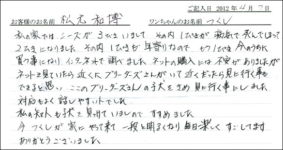 シェットランドシープドッグお客様の声