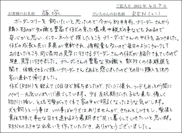 シェットランドシープドッグお客様の声