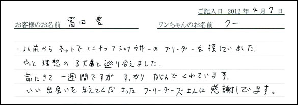 シェットランドシープドッグお客様の声