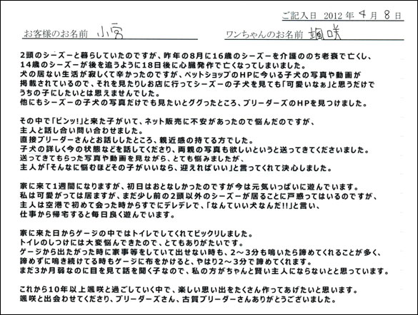 シェットランドシープドッグお客様の声