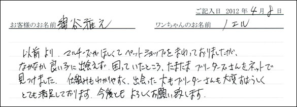 シェットランドシープドッグお客様の声