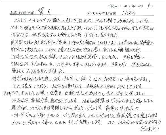 シェットランドシープドッグお客様の声