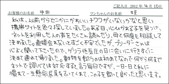 シェットランドシープドッグお客様の声