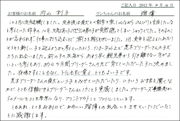 シェットランドシープドッグお客様の声