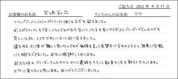 シェットランドシープドッグお客様の声