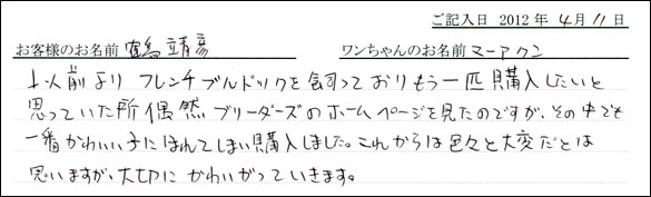 シェットランドシープドッグお客様の声