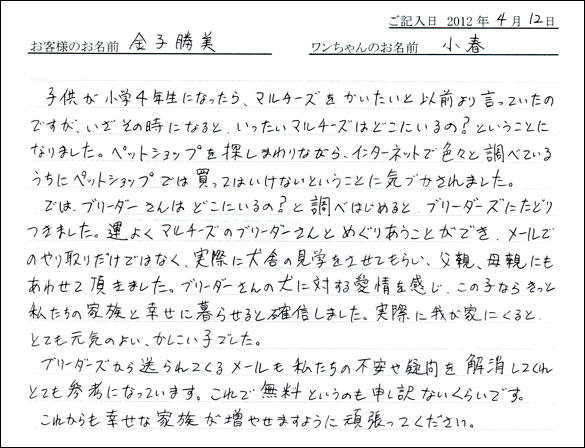 シェットランドシープドッグお客様の声