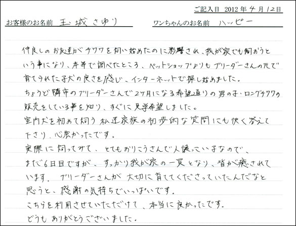 シェットランドシープドッグお客様の声