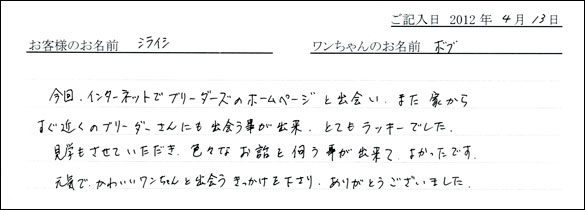 シェットランドシープドッグお客様の声