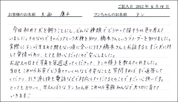 シェットランドシープドッグお客様の声