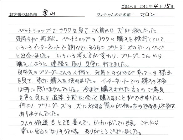 シェットランドシープドッグお客様の声