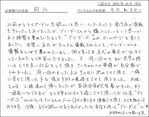 シェットランドシープドッグお客様の声