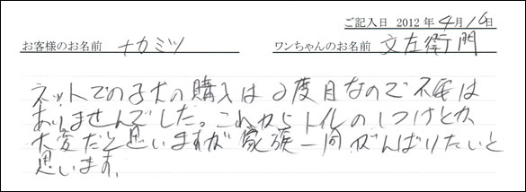 シェットランドシープドッグお客様の声