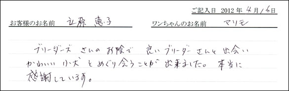 シェットランドシープドッグお客様の声