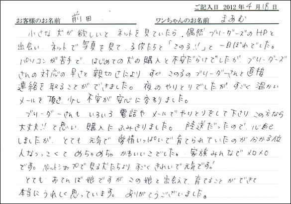 シェットランドシープドッグお客様の声