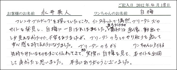 シェットランドシープドッグお客様の声