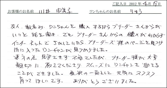シェットランドシープドッグお客様の声