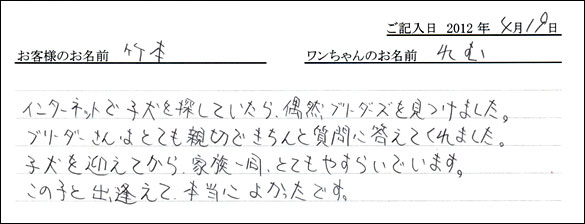 シェットランドシープドッグお客様の声