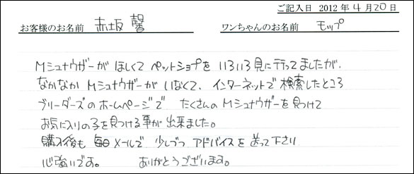 シェットランドシープドッグお客様の声