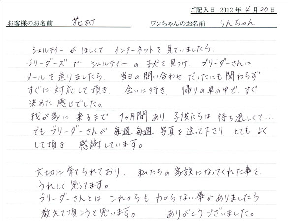 シェットランドシープドッグお客様の声