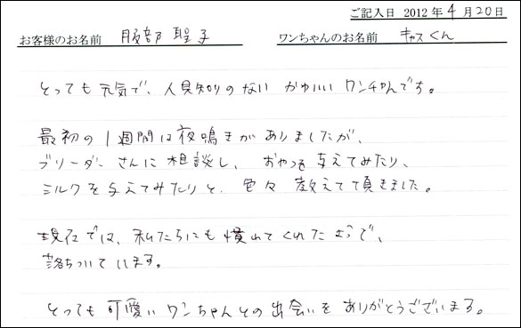 シェットランドシープドッグお客様の声
