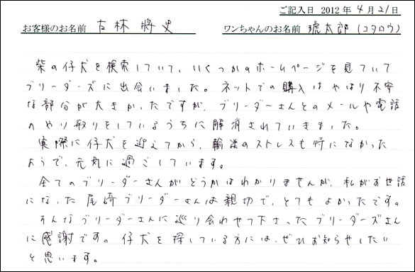 シェットランドシープドッグお客様の声