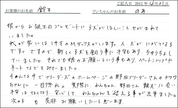 シェットランドシープドッグお客様の声