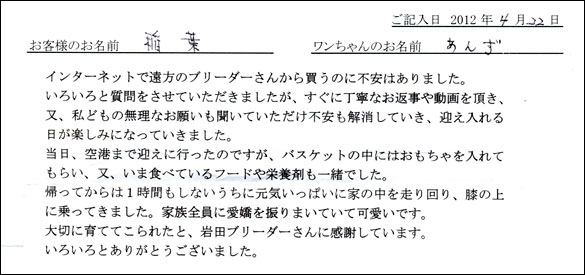 シェットランドシープドッグお客様の声