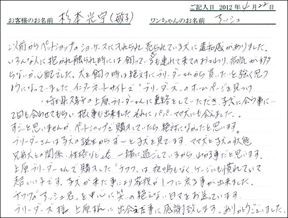 コッカーお客様の声