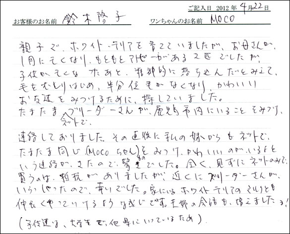 コッカーお客様の声