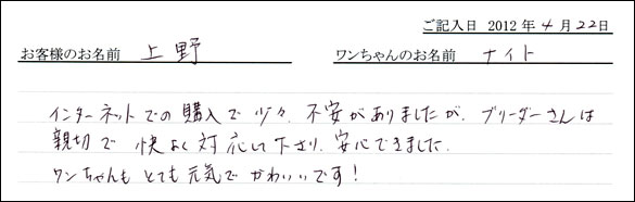 シェットランドシープドッグお客様の声