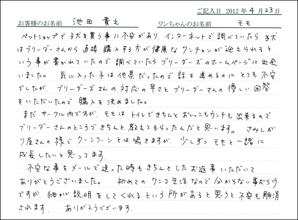 コッカーお客様の声