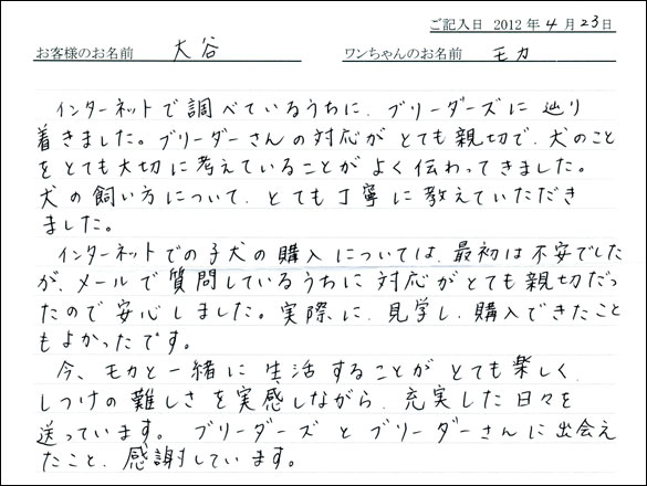 コッカーお客様の声