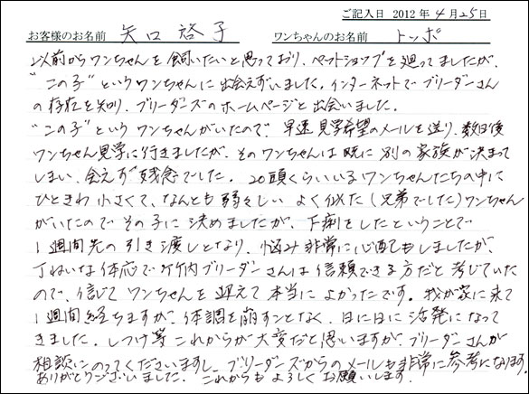 コッカーお客様の声