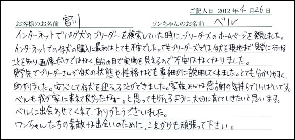 コッカーお客様の声