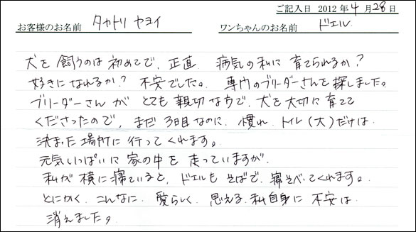コッカーお客様の声