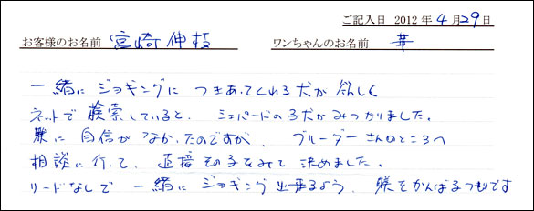コッカーお客様の声