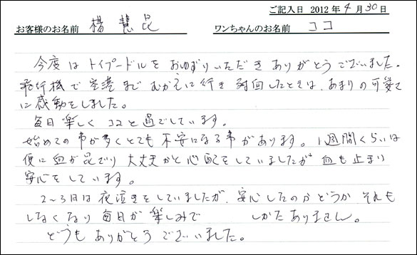 コッカーお客様の声