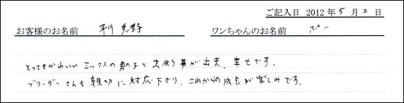 コッカーお客様の声
