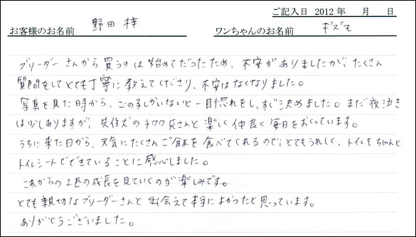 コッカーお客様の声