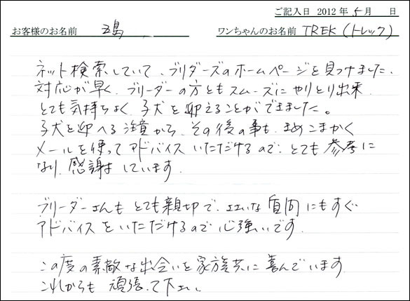シェットランドシープドッグお客様の声