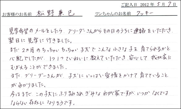 シェットランドシープドッグお客様の声