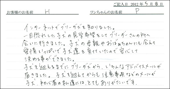 シェットランドシープドッグお客様の声