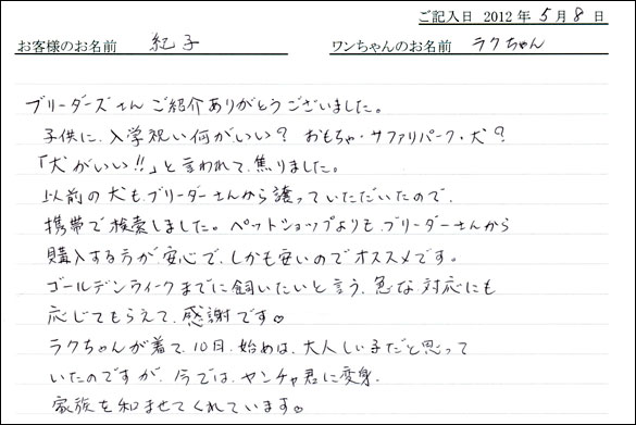 シェットランドシープドッグお客様の声